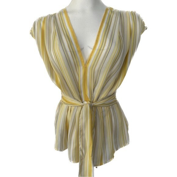 Max Studio Women's Stripe Plunging V-Neck Sheer Blouse Top With Tie Size S - Picture 1 of 5